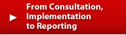 From Consultation, Implementation to Reporting